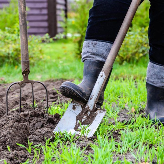shutterstock_588979808 gardening dirt dig