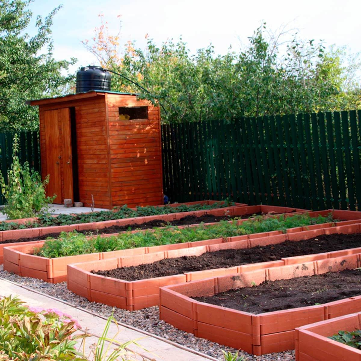 raised garden beds