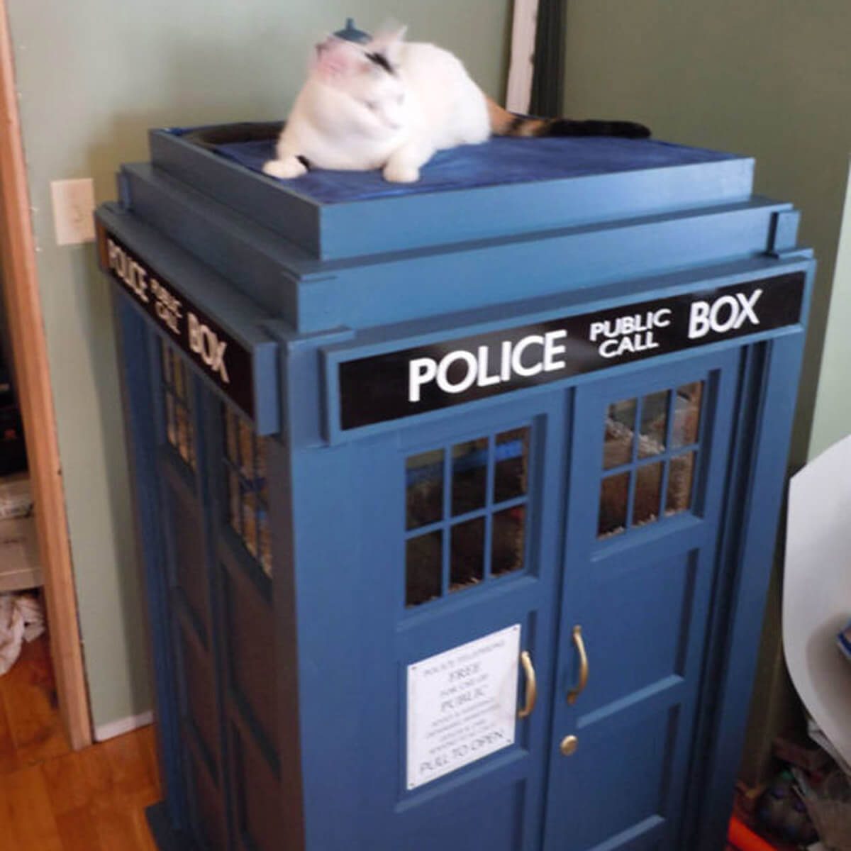 TARDIS cat condo