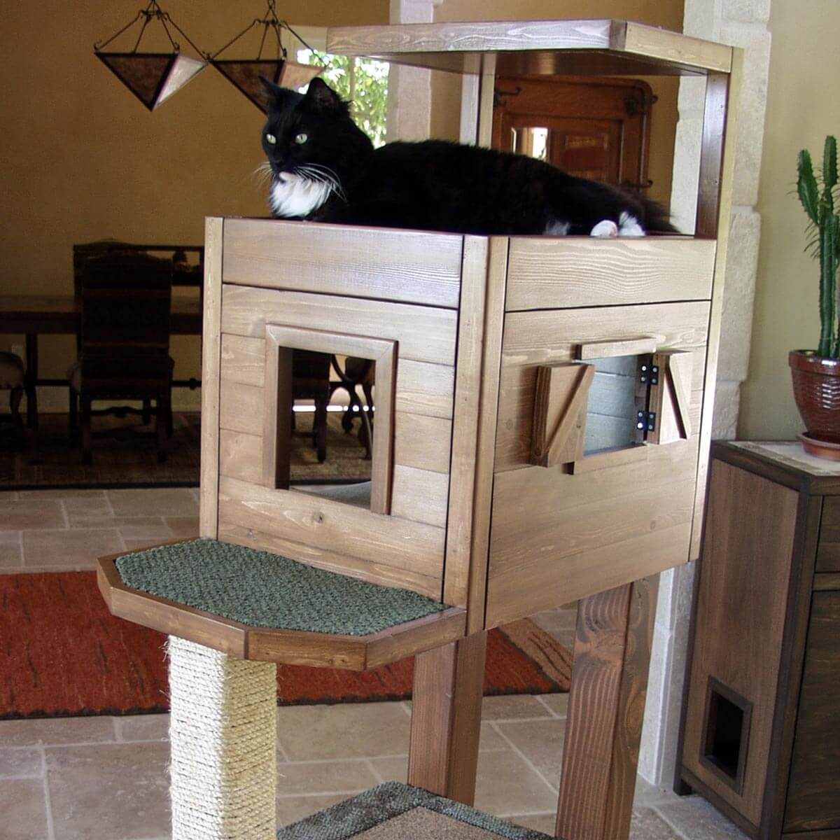 Cat Condo With High-Level Cabin