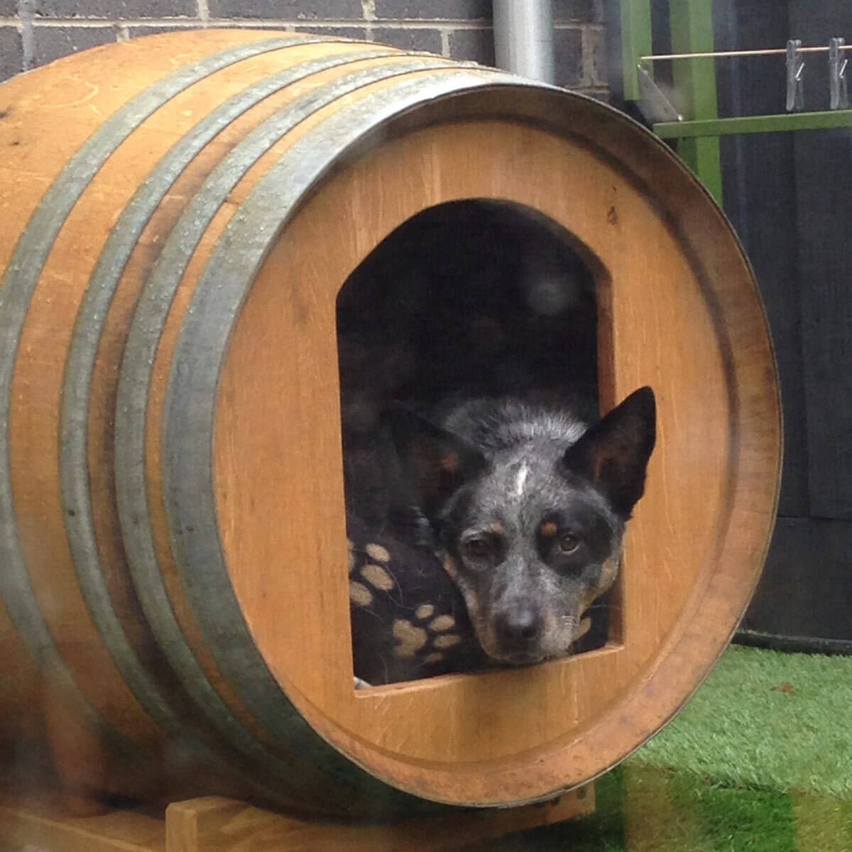 Barrel Dog Bed