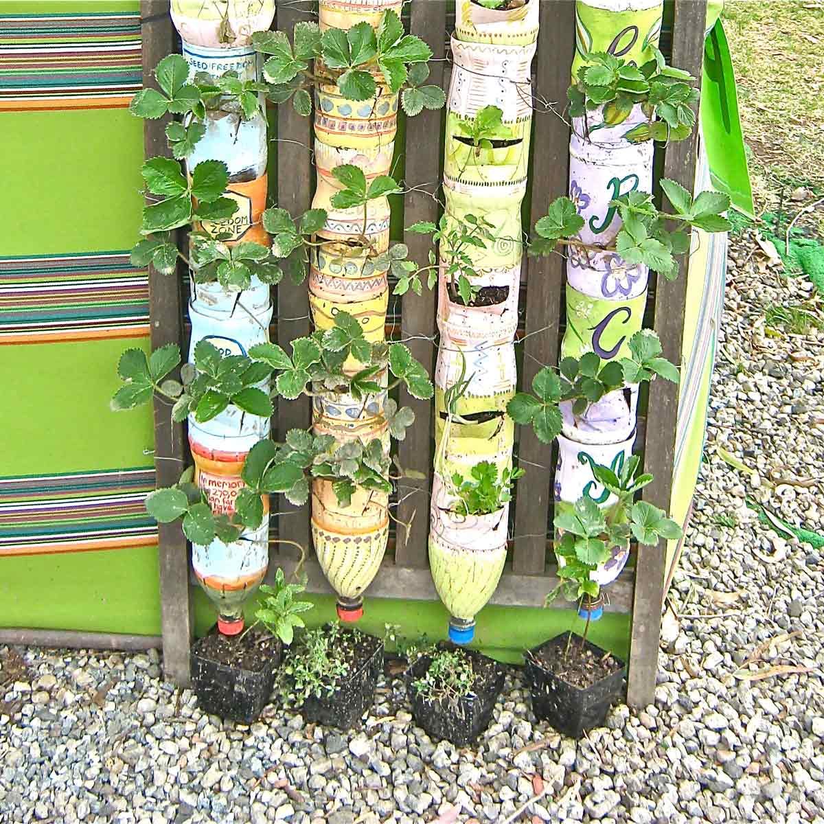 bottle tower garden
