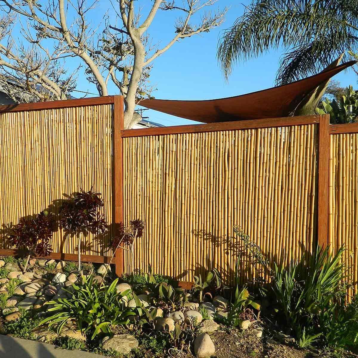 Bamboo Fence