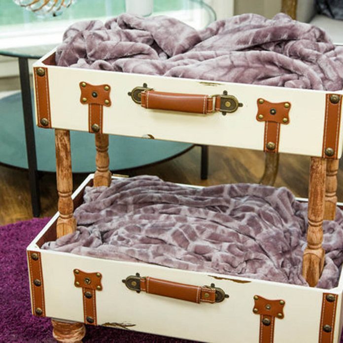 Cat Bed in an Old Suitcase