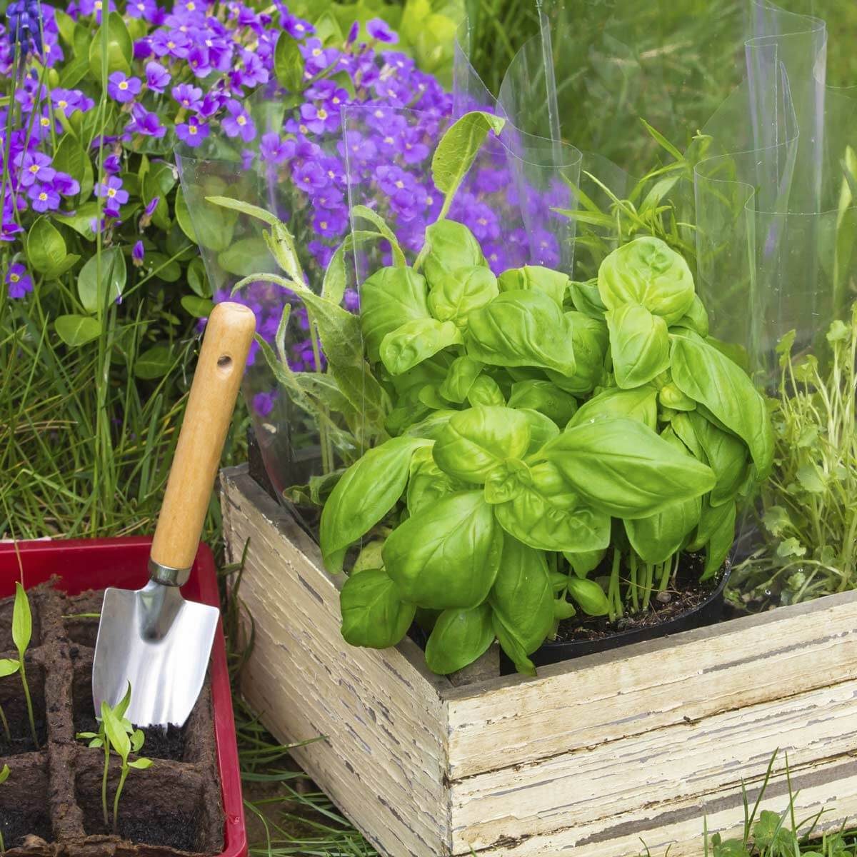 cabinet drawer flower planter