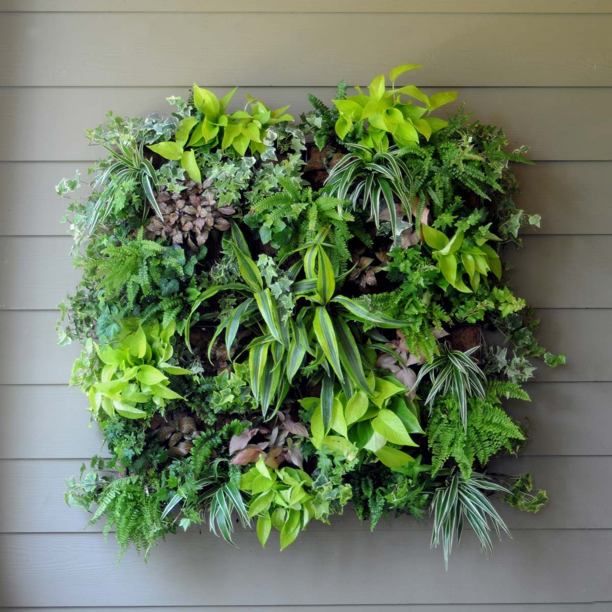 living wall planter