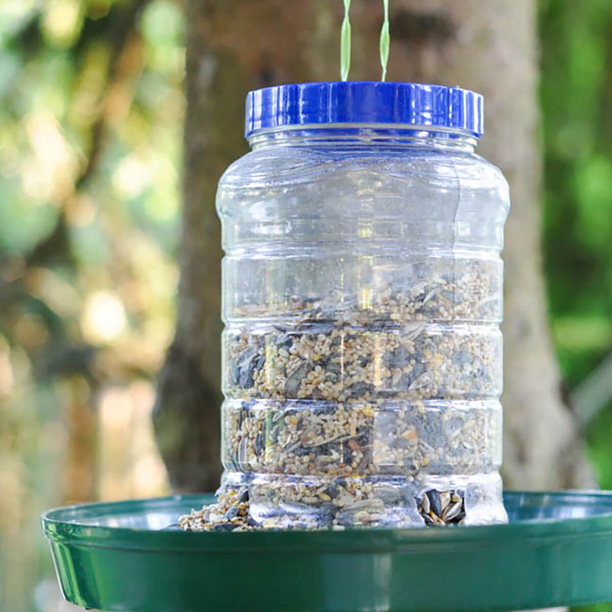 peanut-butter-jar-bird-feeder