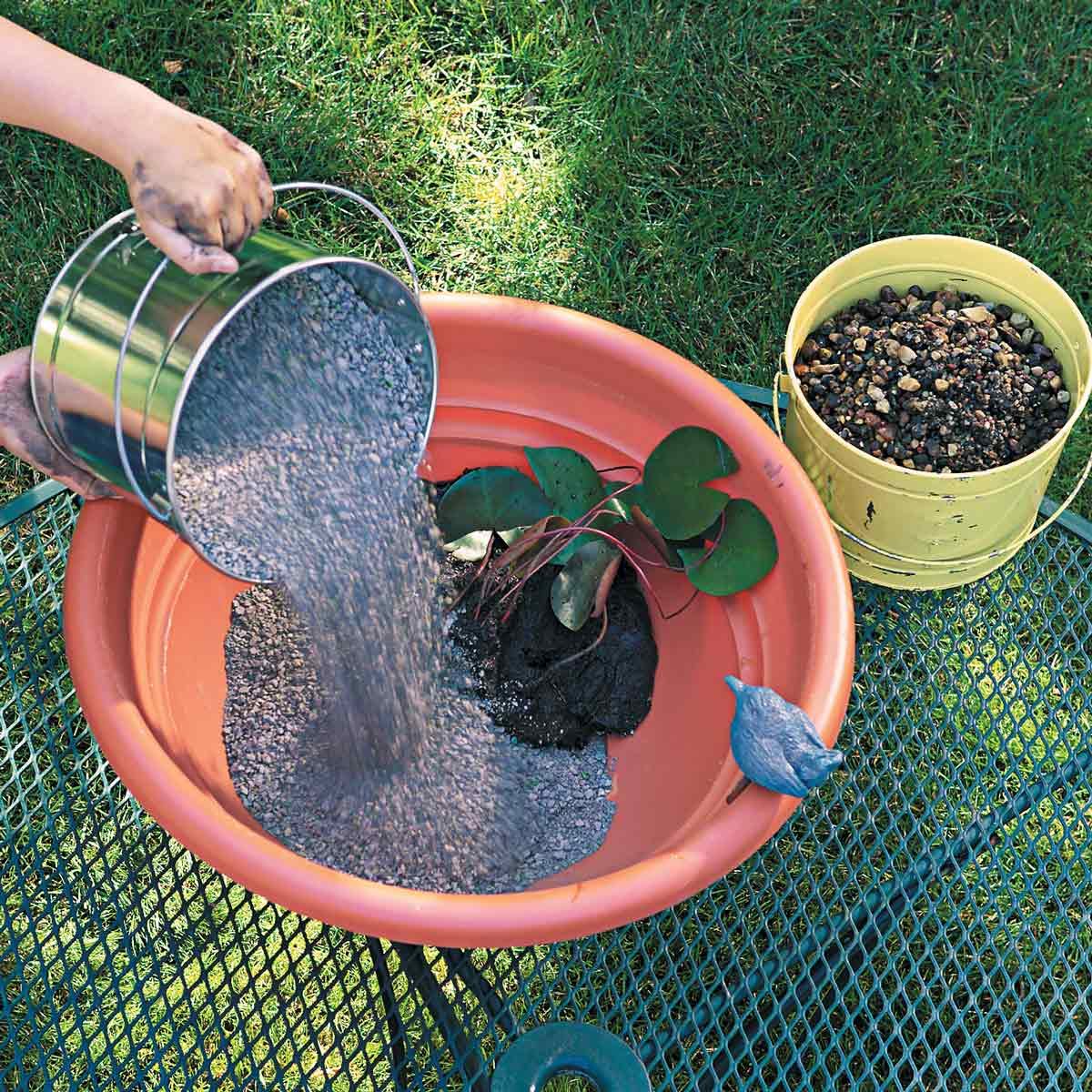 water garden kitty litter