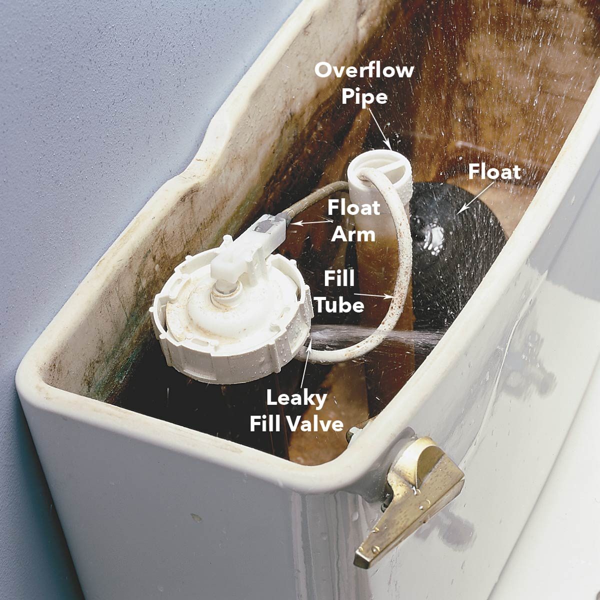 How to Fix a Running Toilet: Check the Fill Valve for a Leak diagram