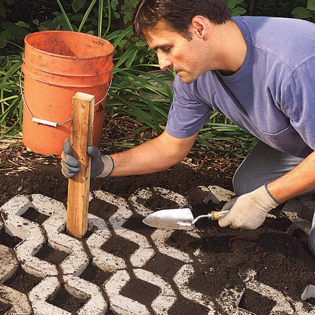 paver path that grows dirt