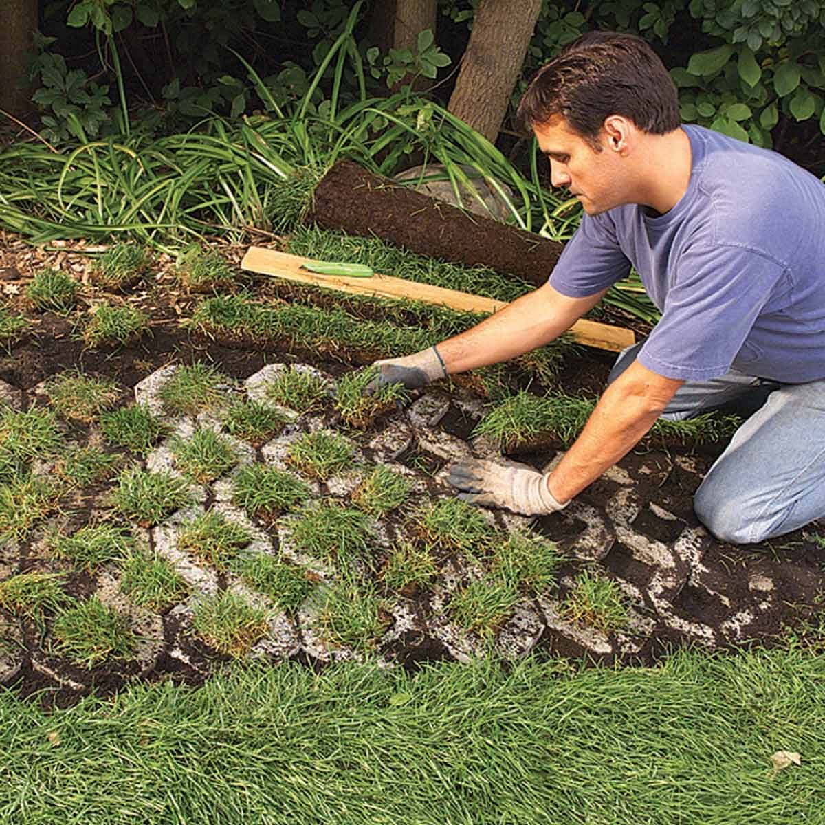 garden path that grows sod squares