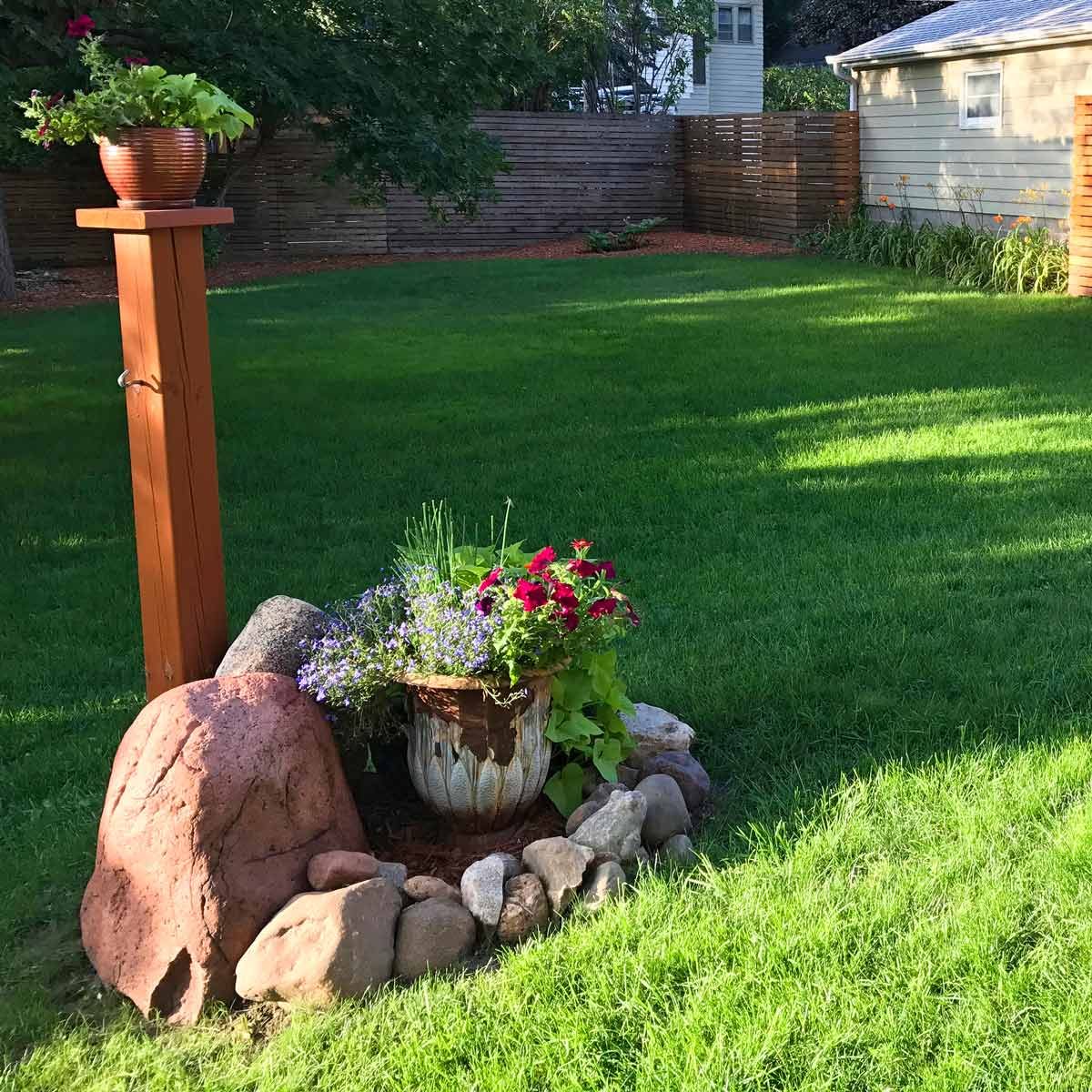 green lush lawn grass