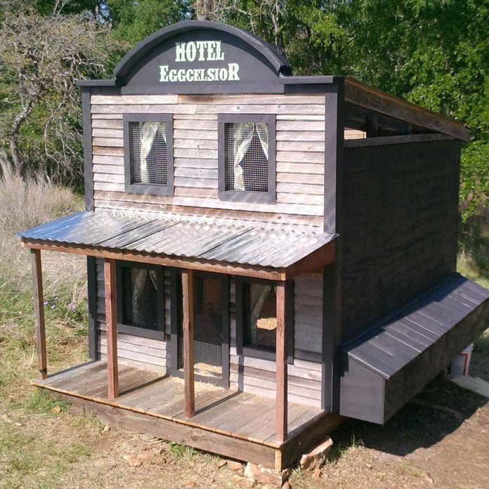 chicken coop saloon hotel
