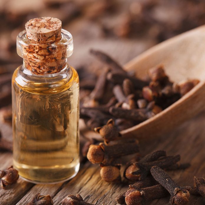 Cloves Spray Oil