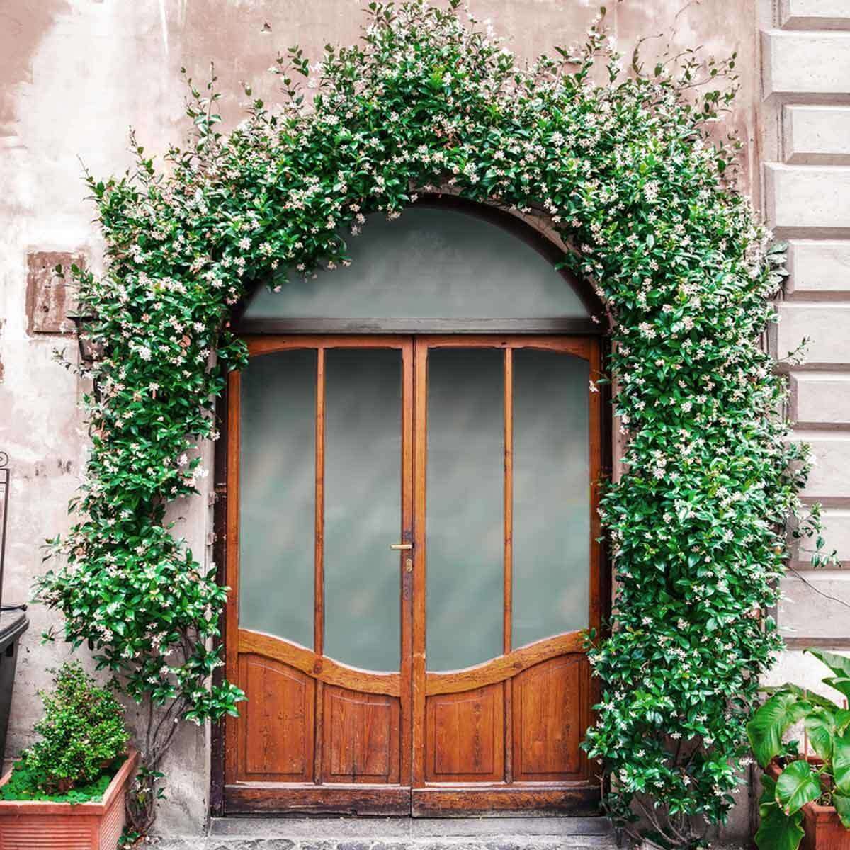 Double Front Doors