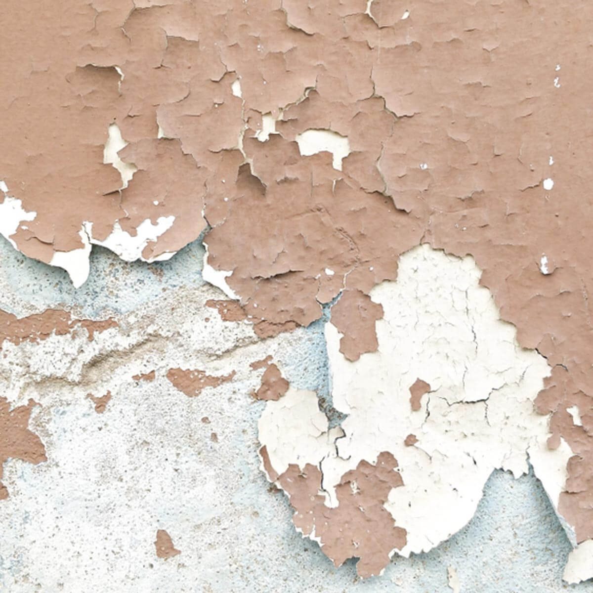 paint peeling walls