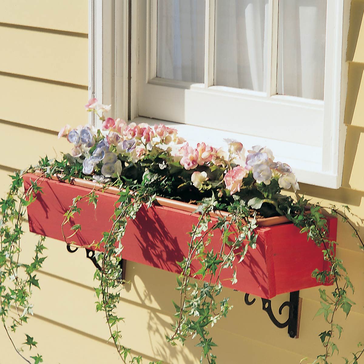 rot-proof window box flowers