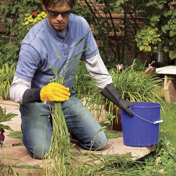 killing long weeds