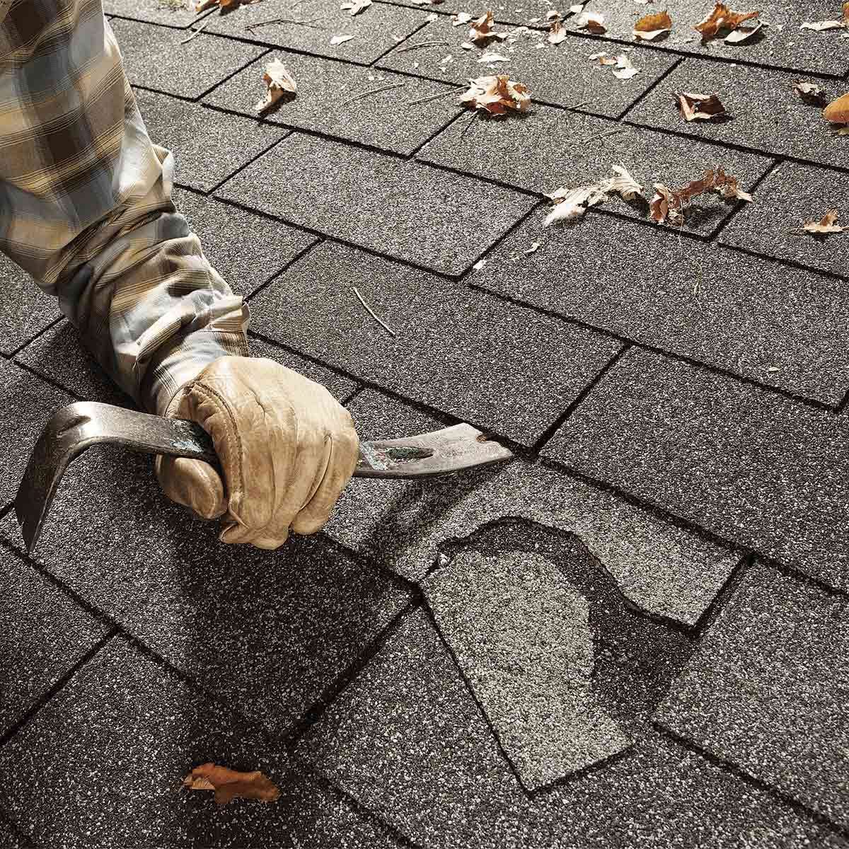 damaged shingles