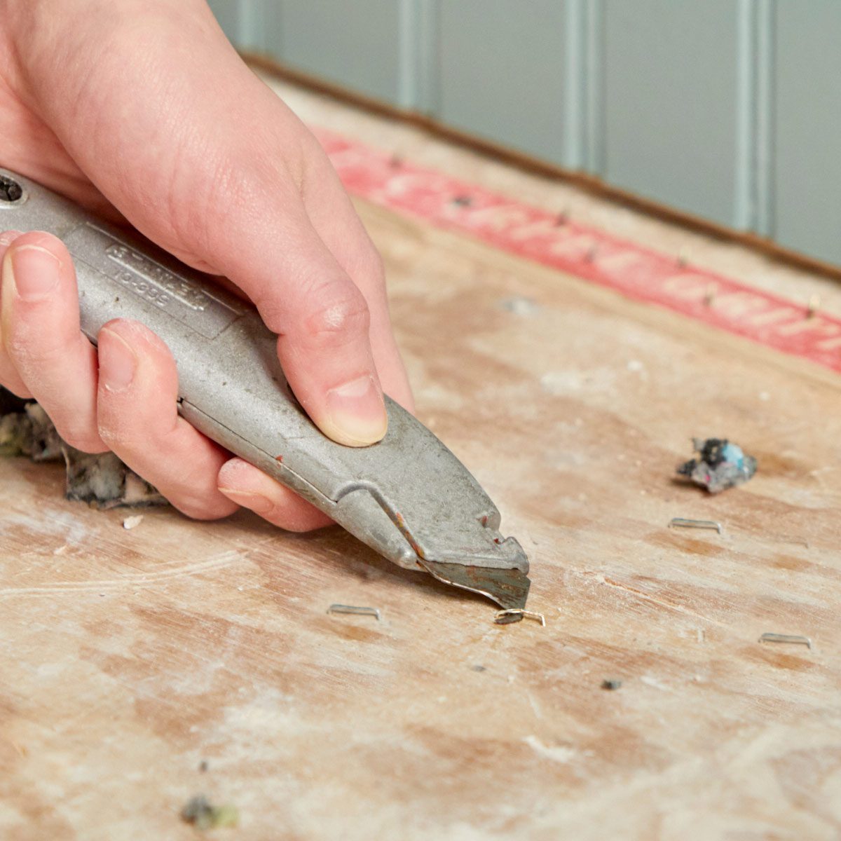 HH hook blade staple remover