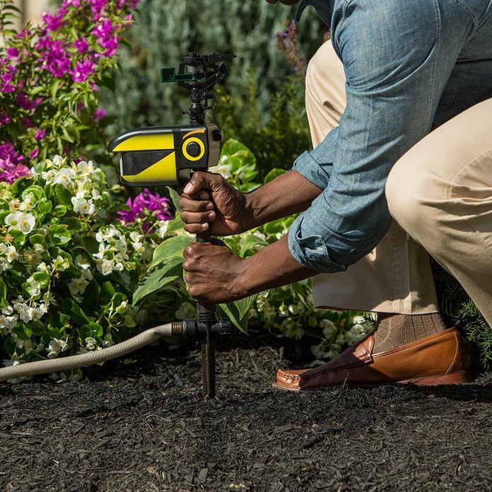 scarecrow sprinkler bird