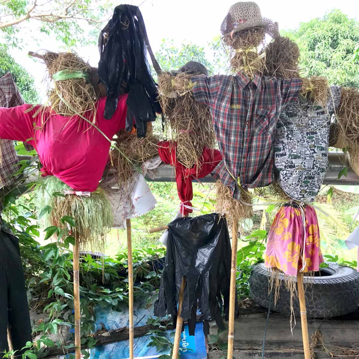 scarecrows