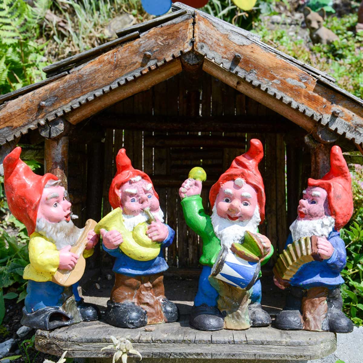 Garden Gnomes plastic tacky lawn ornaments