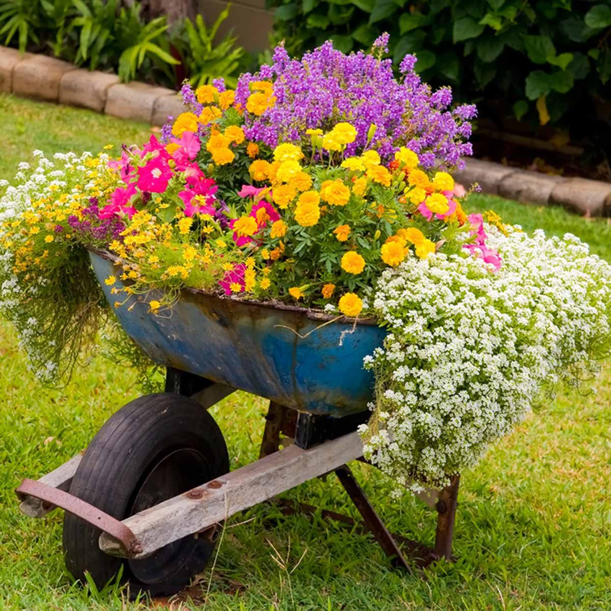 Wheelbarrow Planter