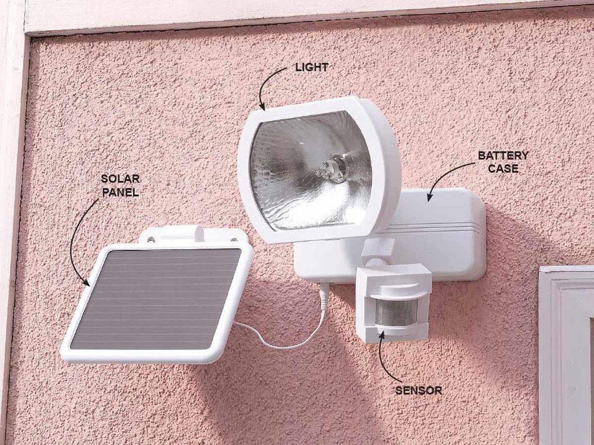 motion detector light