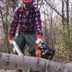 16 Things You Should Not Do When Cutting Down a Tree