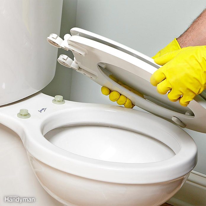 detachable-toilet-seat