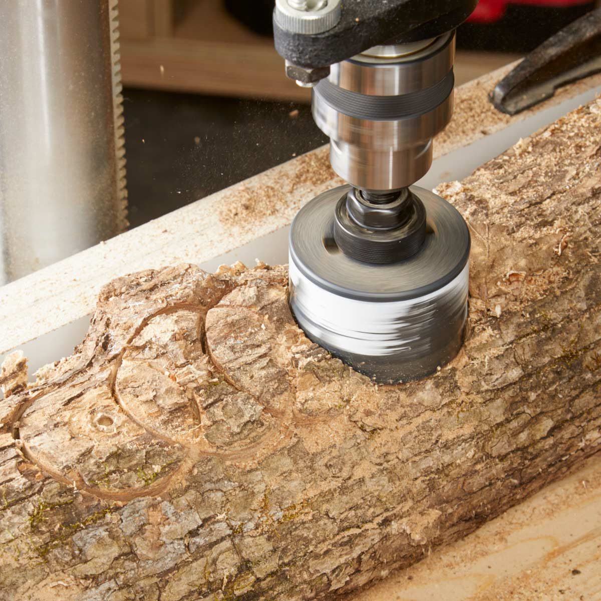 hole saw drill press log planter