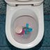 How to Unclog a Toilet