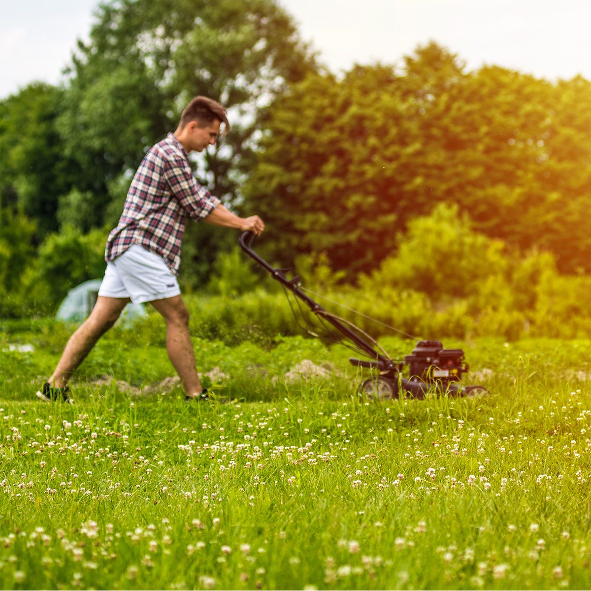 RoundUpRelief LawnMower