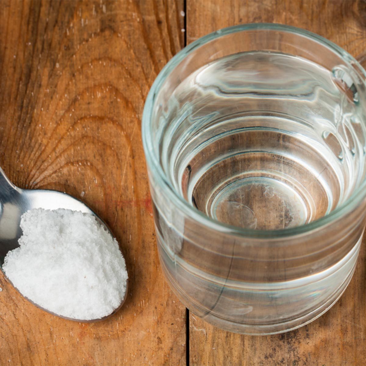 sugar water for hummingbirds