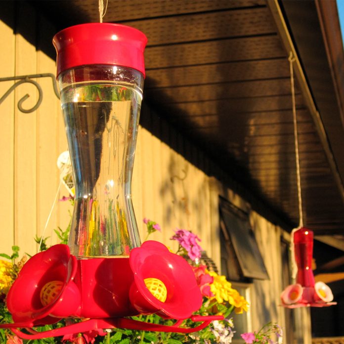two hummingbird feeders