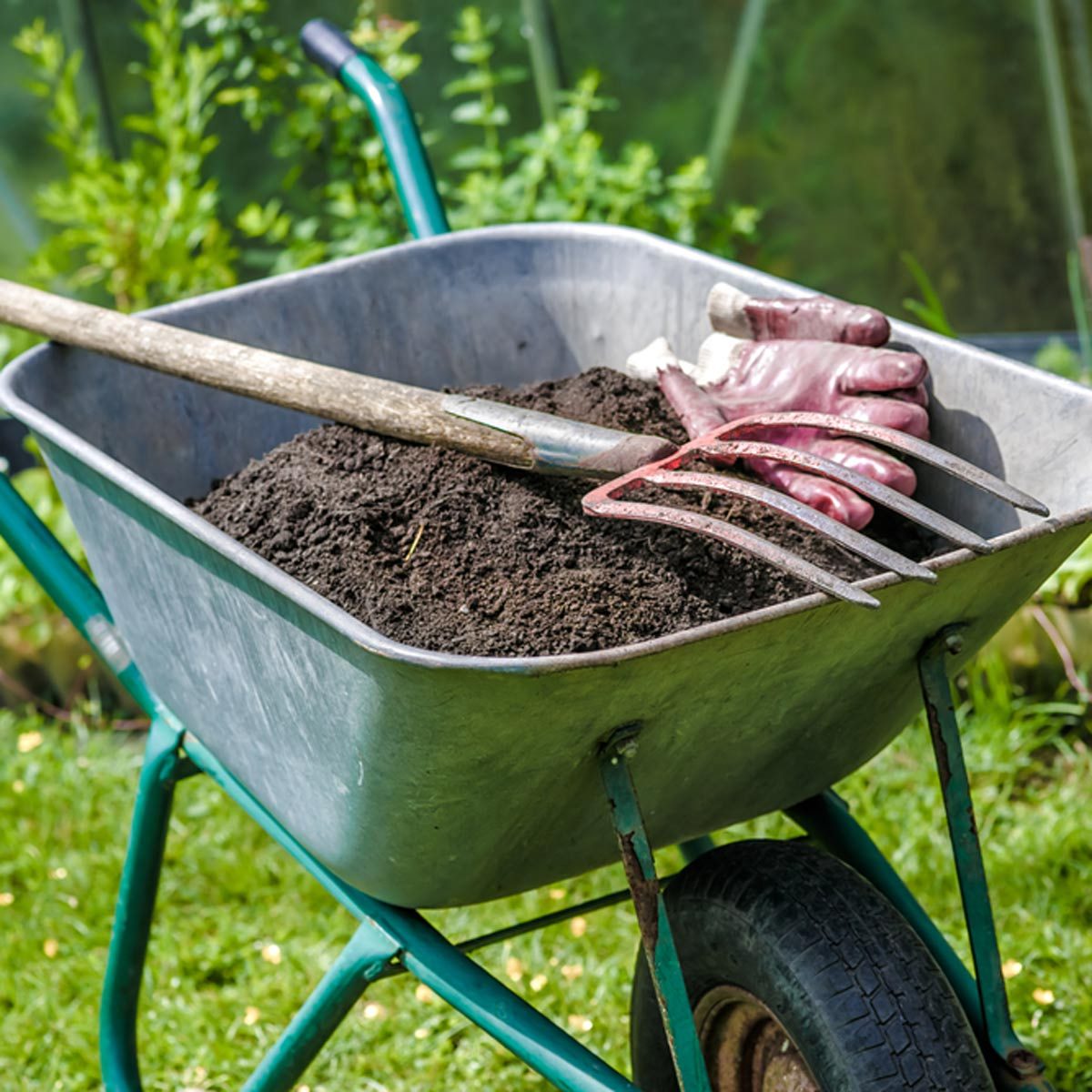 wheelbarrow