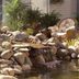 How to Build a Low-Maintenance Pond