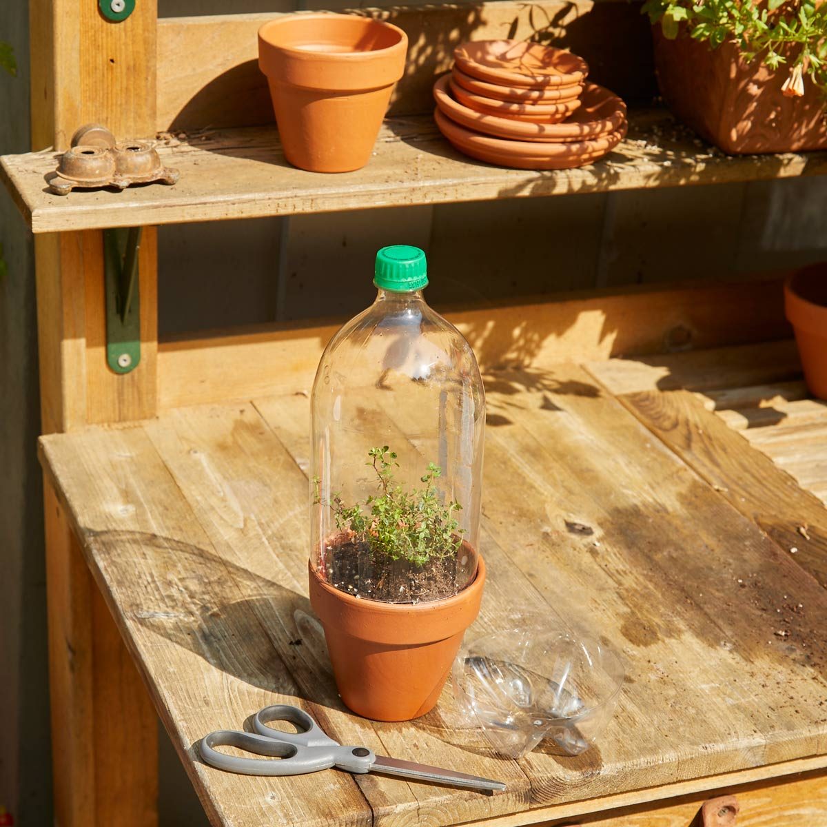 Handy Hint Micro Green house pop bottle