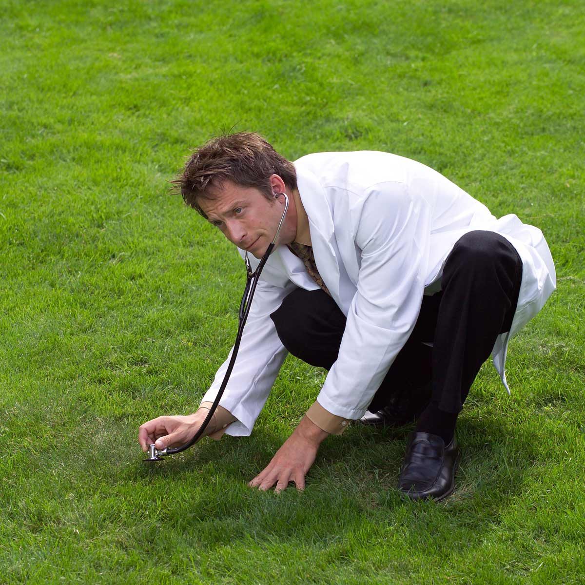 lawn care tips for fixing lawn spots demonstrated by a lawn "doctor" using a stethescope for monitoring the health of the grass and soil