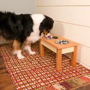 saturday morning workshop dog bowl stand max