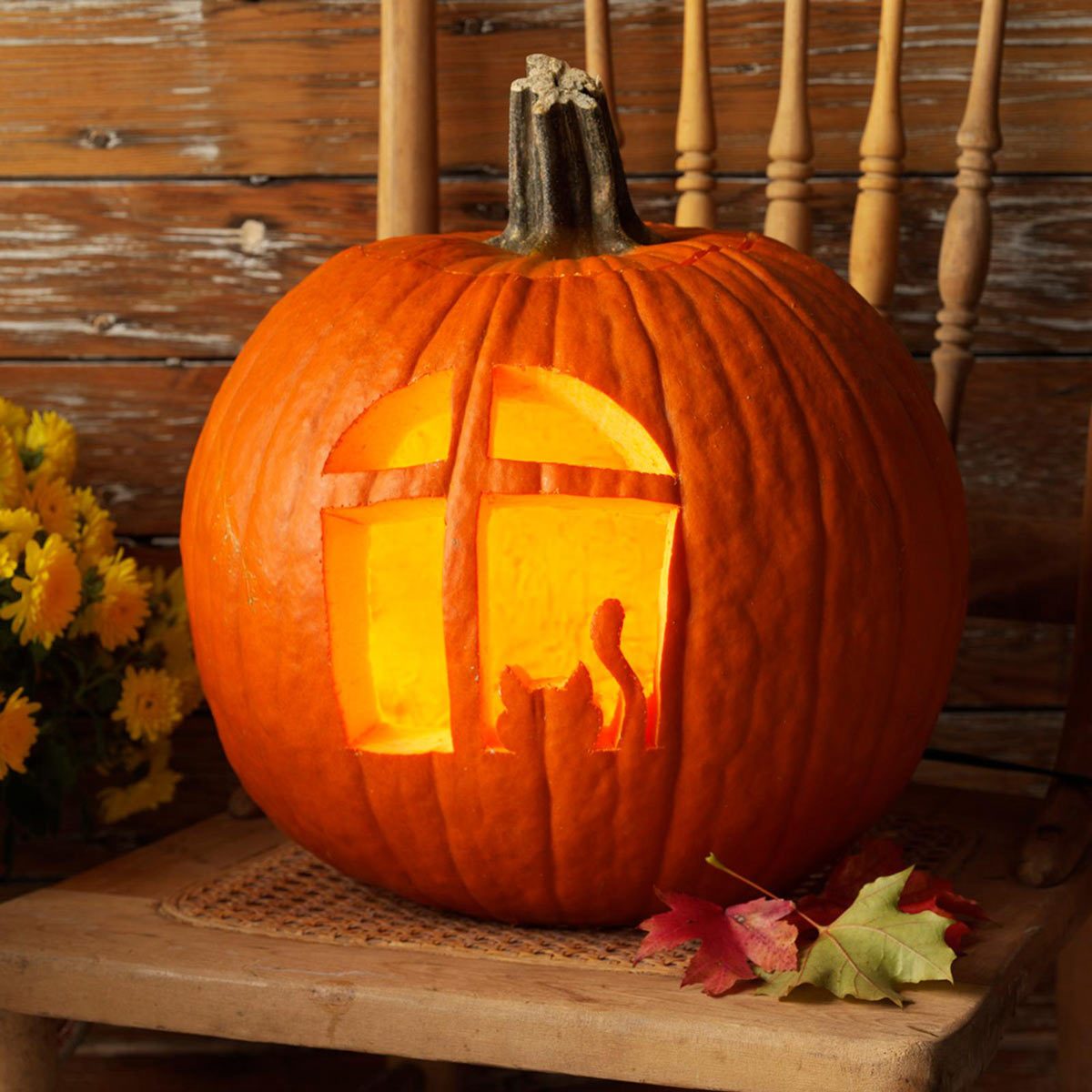 cat in the window halloween pumpkin carving jack o'lantern