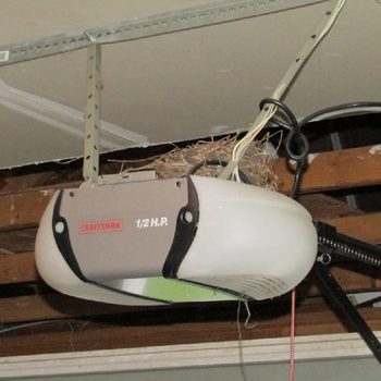 bird nest on top of a garage door opener