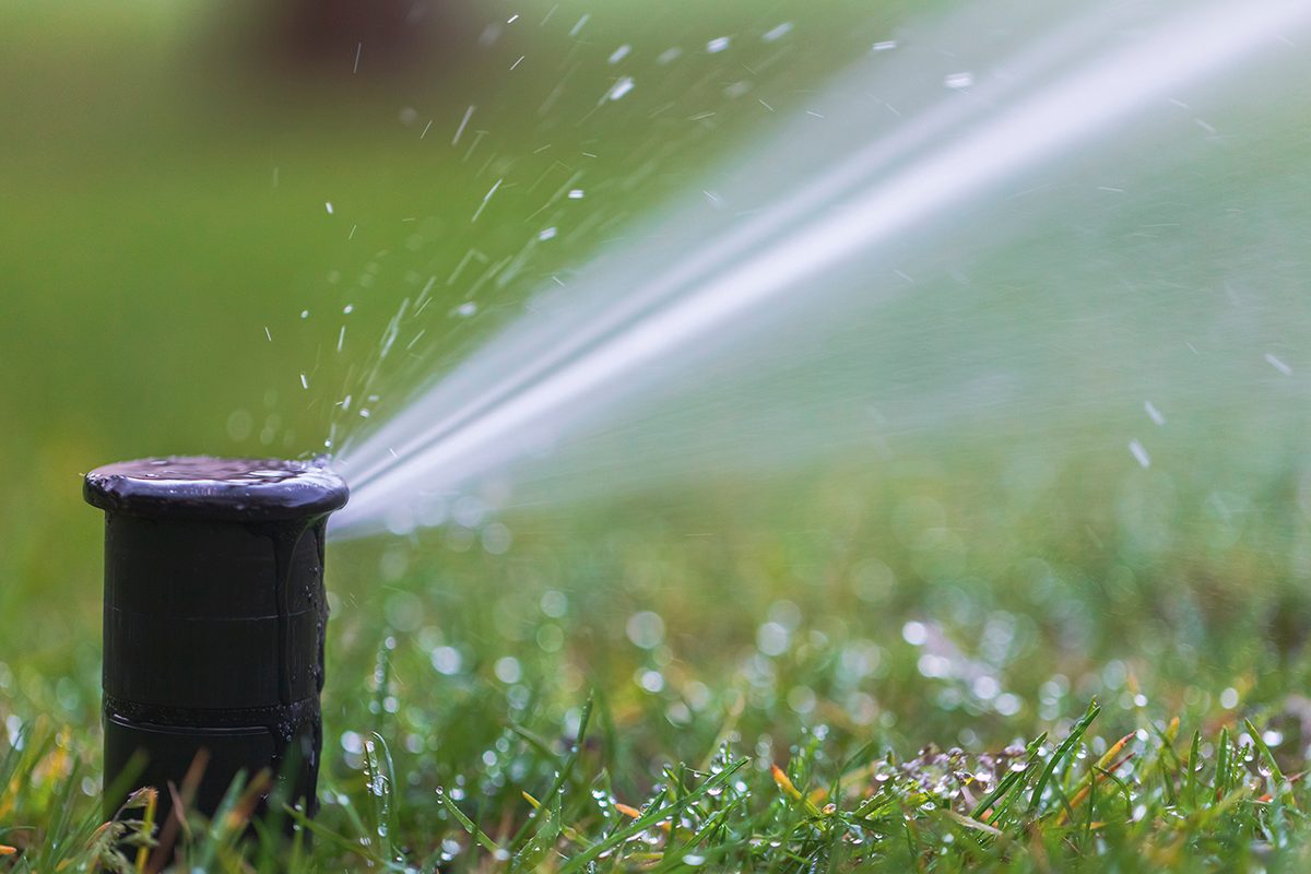 Close Up Of A Pop Up Sprinkler Spray Head.