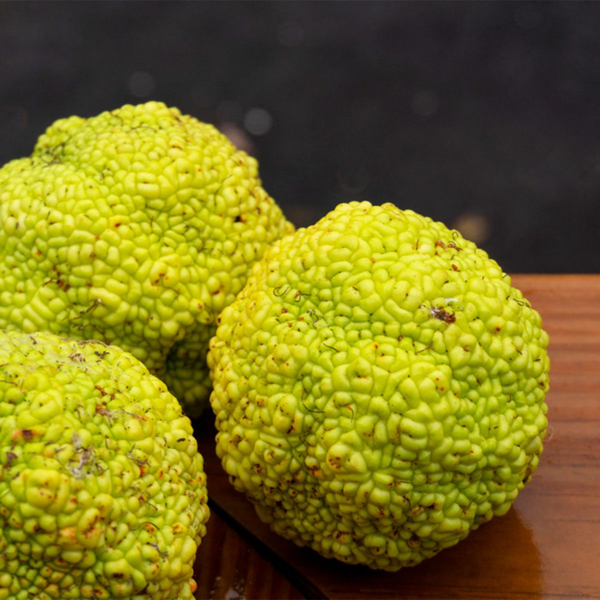 hedge apples