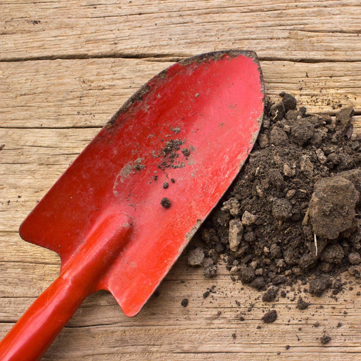 gardening tools and soil on a wood background; Shutterstock ID 162547868; Job (TFH, TOH, RD, BNB, CWM, CM): Taste of Home