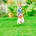 10 Tips for Creating Dog-Friendly Landscaping in Your Yard