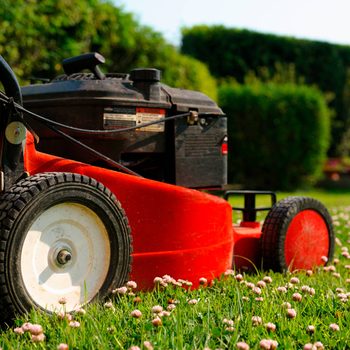 mowing the lawn