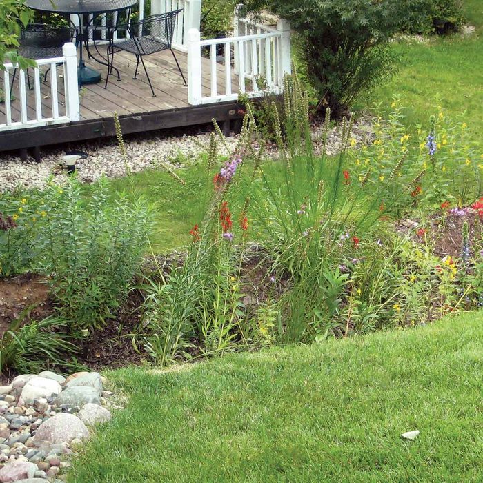 FH11MAR_516_50_R11-1200 lawn problems