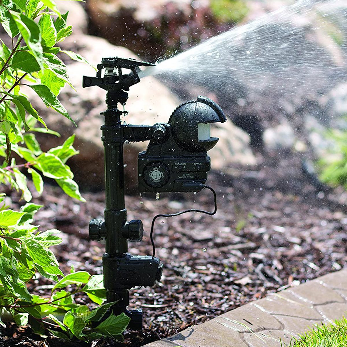 Orbit 62100 Yard Enforcer Motion Activated Sprinkler Ecomm Amazon.com